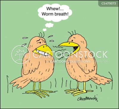 Cartoon of two birds standing on grass. One bird is talking and the other is trying his best not to get knocked over, thinking, “Whew!...Worm breath!”