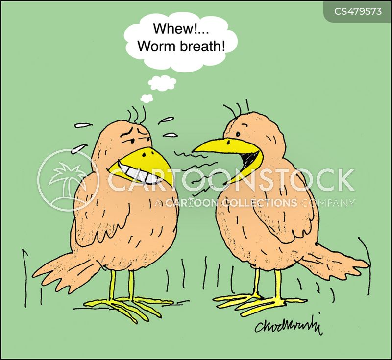 Cartoon of two birds standing on grass. One bird is talking and the other is trying his best not to get knocked over, thinking, “Whew!...Worm breath!”
