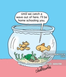 Until we catch a wave out of here. Living in a goldfish bowl, the father goldfish tells his children he will home-school them.