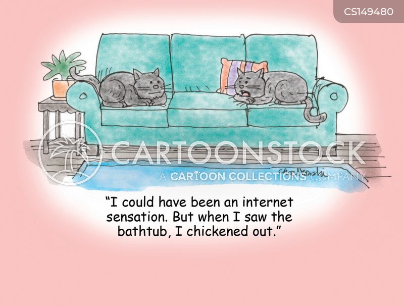 Two cats on a couch. One claims he could have been an internet sensation. But then he saw the bathtub.