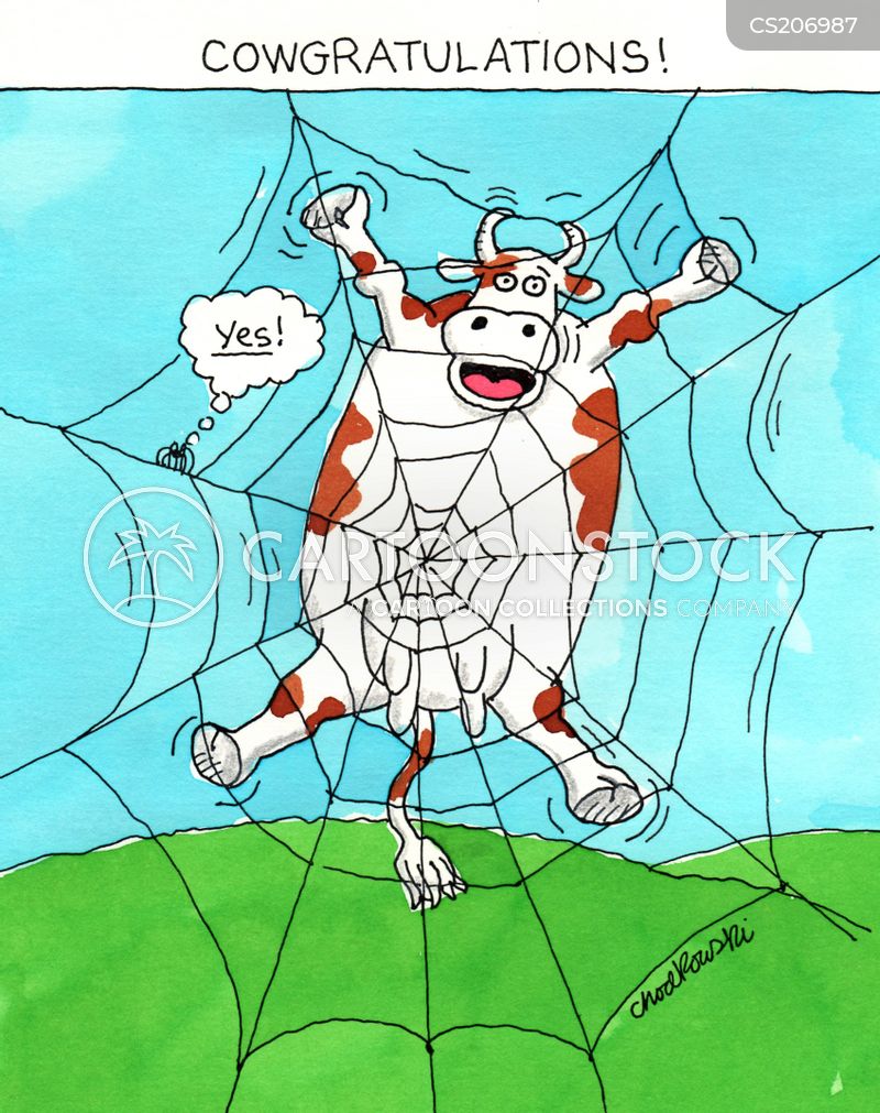 a cow is caught in a spider’s web and the little spider is saying, “Yes!” The caption reads, “Cowgratulations!”