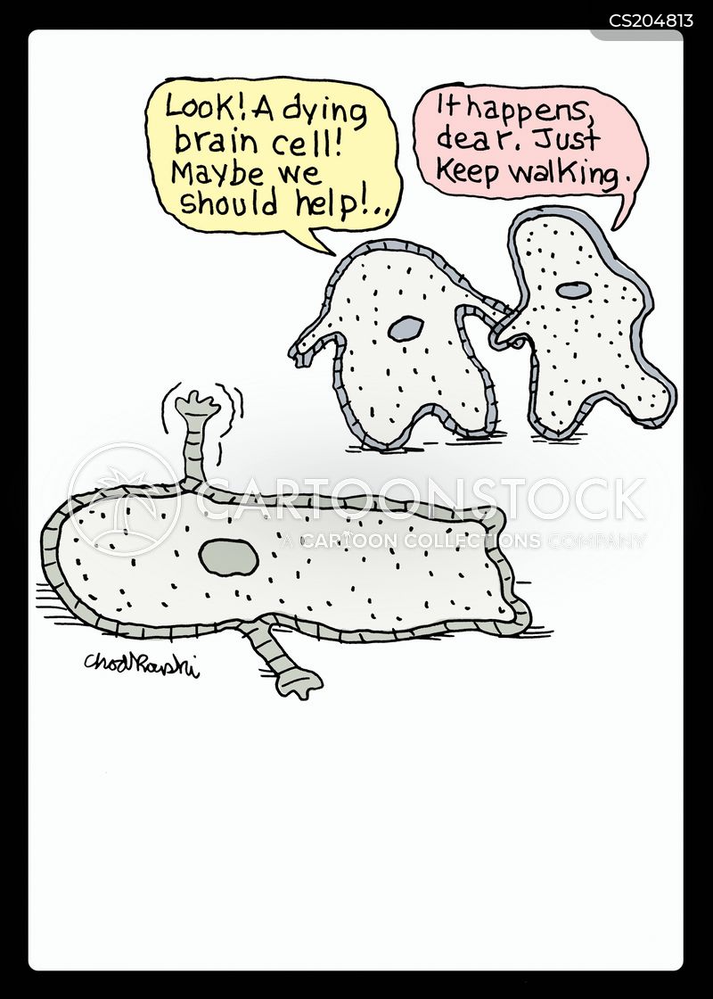 Two single human body cells are walking past a cell that's laying flat, arms out shaking. One says it's a dying brain cell and wonders if they should help. The other says it happens all the time and to keep walking.