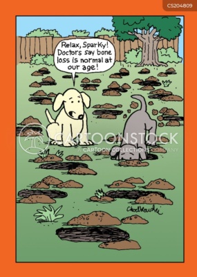 A dog watches his pal dig up a yard in search of a buried bone.