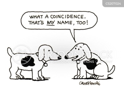 Two dogs that look alike and by coincidence share the same name.
