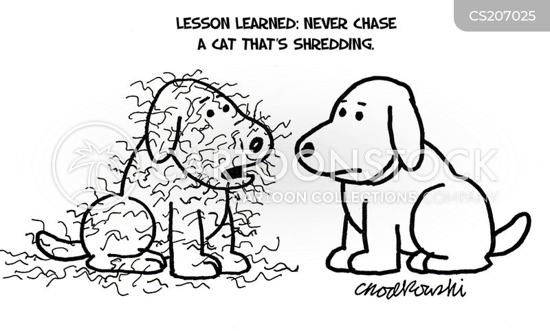 One dog's condition is the result of chasing a cat that's shedding.