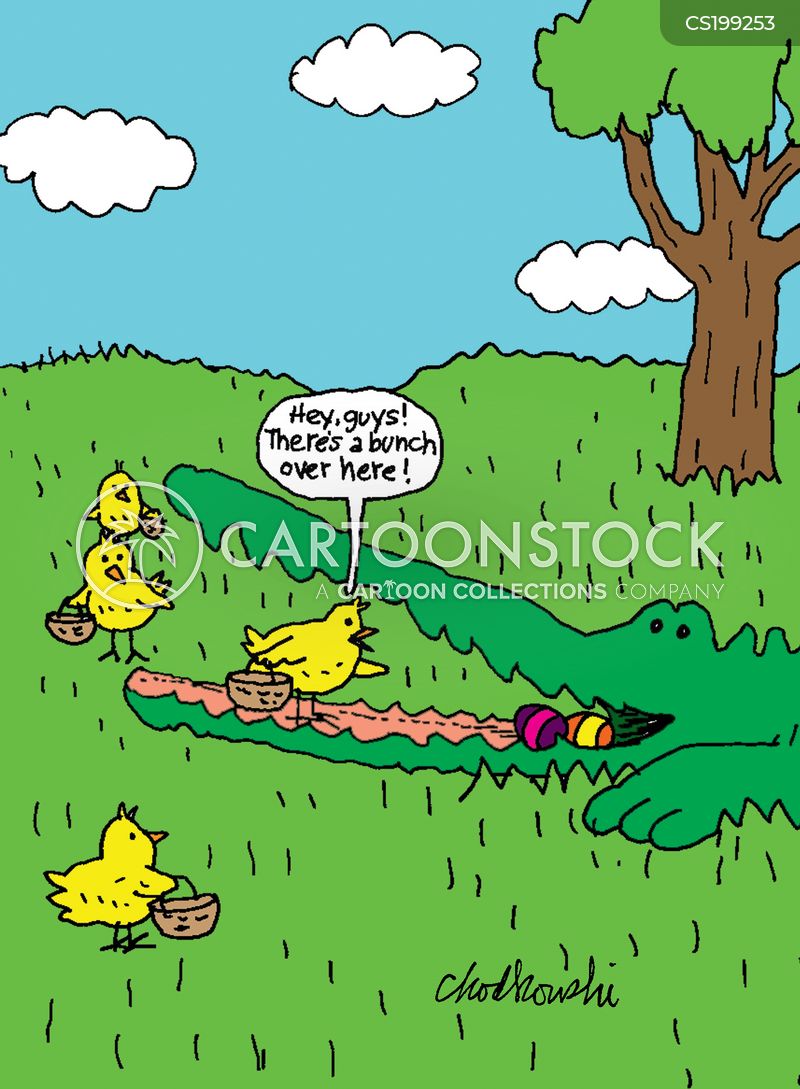 Cartoon of some young chicks with Easter baskets outside in a pleasant grass landscape. They are hunting Easter eggs. One chick alerts the group that it’s found some not realizing it’s a trap. The Easter eggs are inside the wide open mouth of an alligator.
