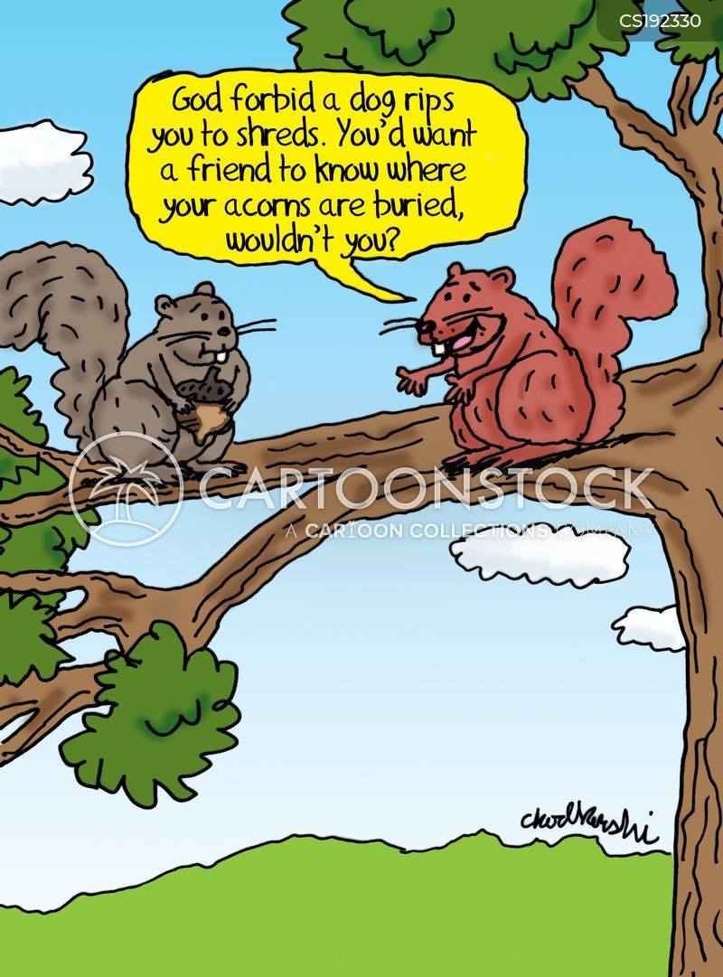 Two squirrels sitting on a tree branch. One is trying to convince the other to tell him where hje’s buried all his nuts, just in case something terrible happens.