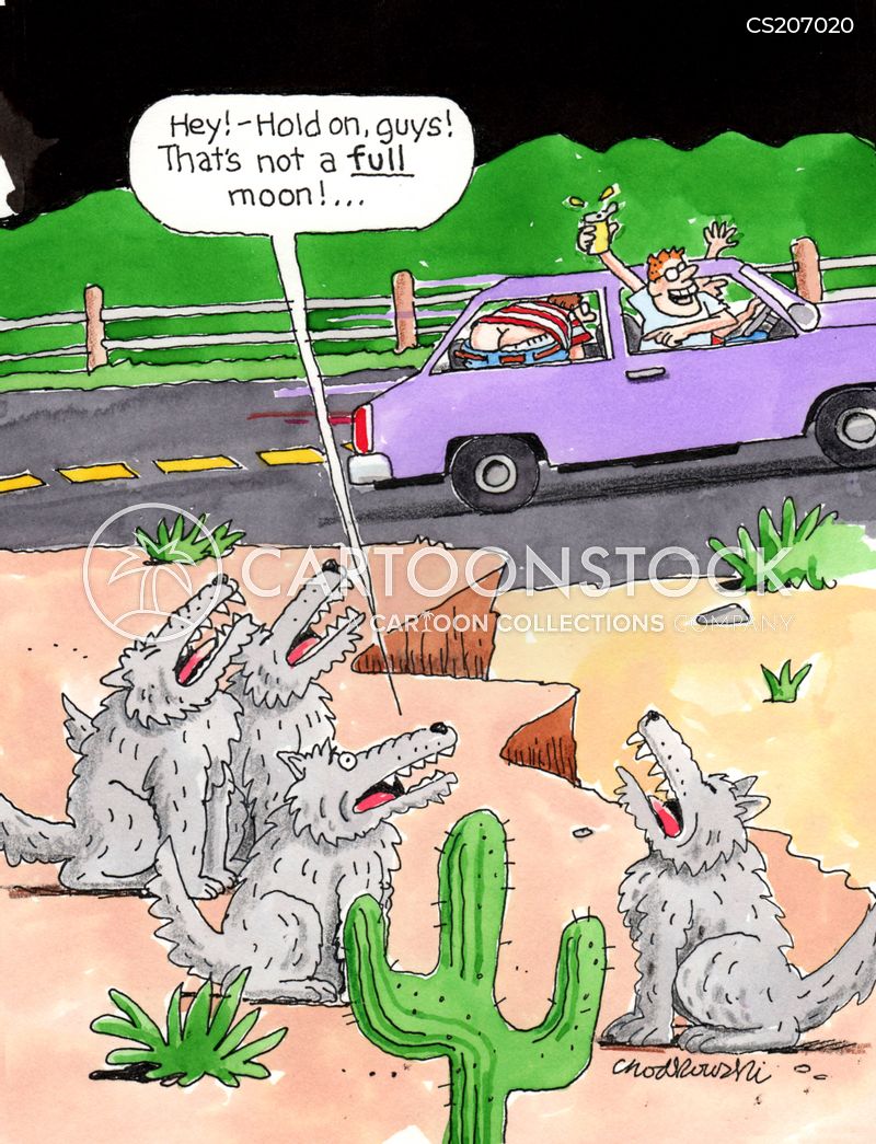Pack of wolves howling as a car with teenagers passes. One teenager is mooning them. But his pants aren't all the way down and a wolf says, “Hey! - hold on, guys! That’s not a full moon.”