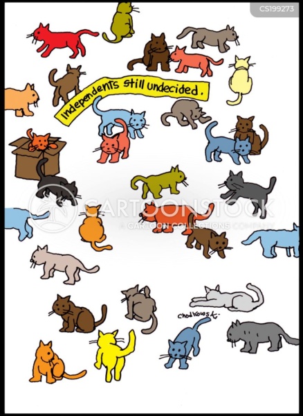 A lot of cats, cats, cats, are roaming around. They're independents, undecided.