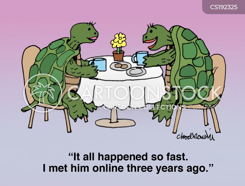 Two turtles are sitting in a restaurant having coffee. One is talking about her relationship. She explains, “it happened so fast. I met him online three years ago.”