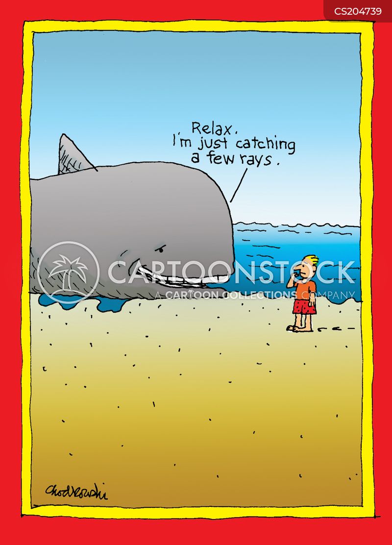 Cartoon of a whale resting on the beach. A lone man walking the beach seems startled by the sight. The whale says, “Relax. I’m just catching a few rays.”