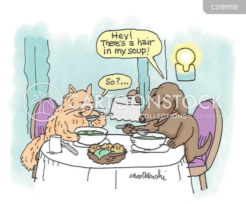 Cartoon of a dog and cat eating at a restaurant table. The dog is complaining that there’s a hair in his soup and the cat doesn’t see why it’s a big deal.