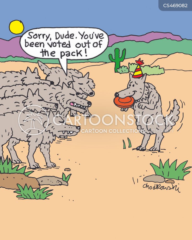 A wolf with birthday hat and frisbee is being told by his old gang that he’s been voted out of the pack.