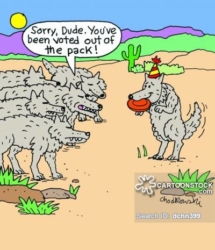 A wolf with birthday hat and frisbee is being told by his old gang that he’s been voted out of the pack.