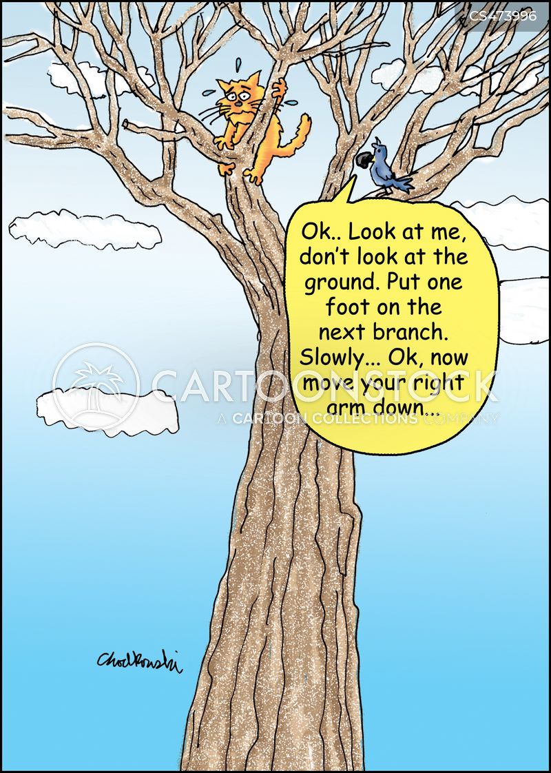 A cat is way up in a tree and scared to move. A bird is on a nearby branch coaching him on how to get down.