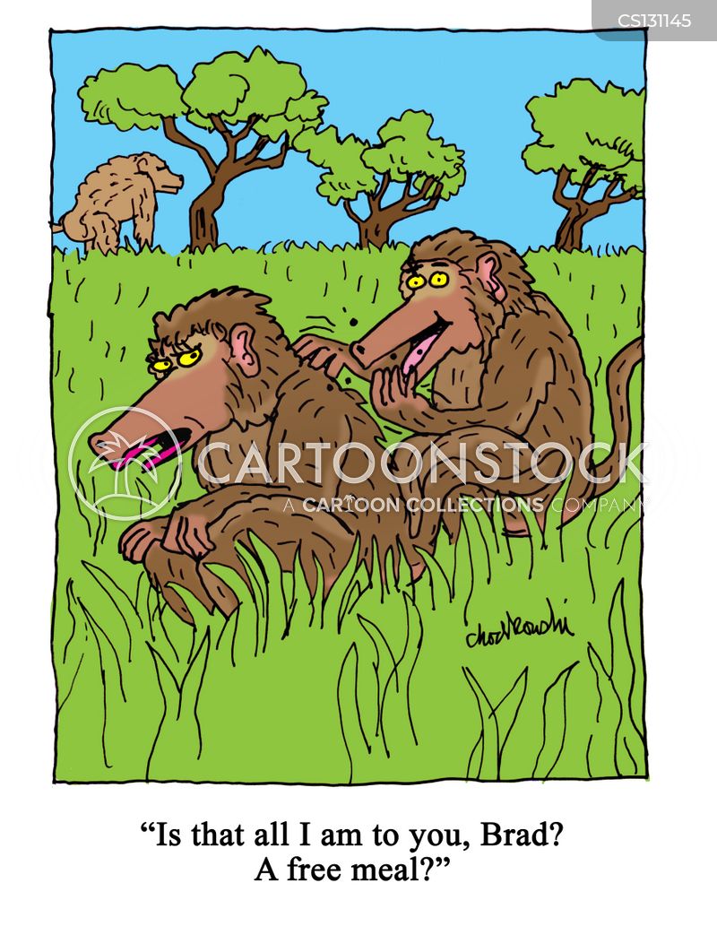 Two baboons in a field. One, Brad, cleans the other’s back by picking and eating the bugs. The only one asks if that’s all they are to him, a free meal.