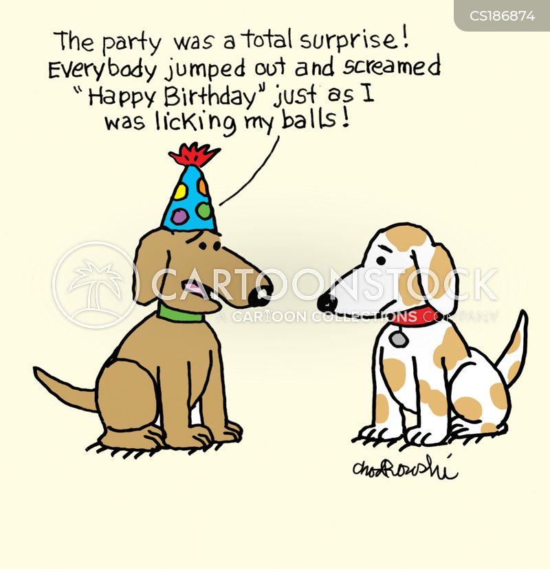 A dog is wearing a birthday party hat. He explains to another dog that the party was a total surprise. Everyone jumped out and screamed “Happy Birthday” just as he was licking his balls.
