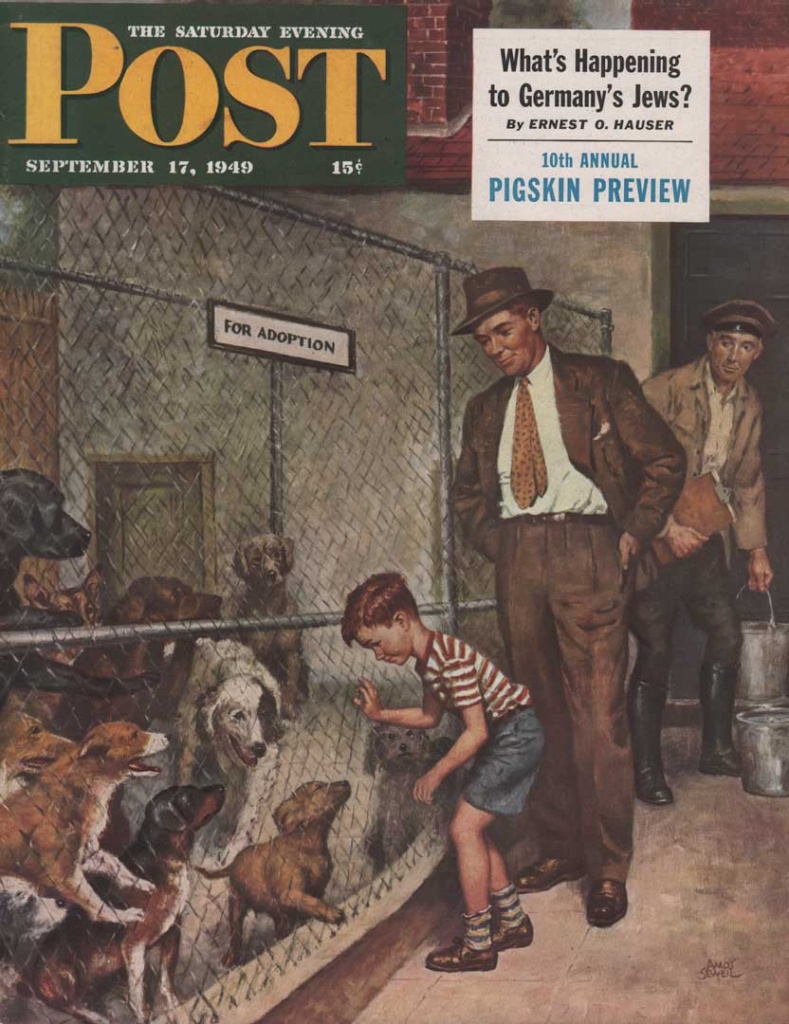 Saturday Evening Post cover from September 17, 1949. Shows a father and young boy looking at dogs in the pound. Illustrated by Amos Sewell.
