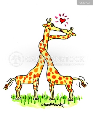 Cartoon. Two giraffes. One has wrapped its neck once around the other and they are kissing. A glowing heart above them signifying they are in love.