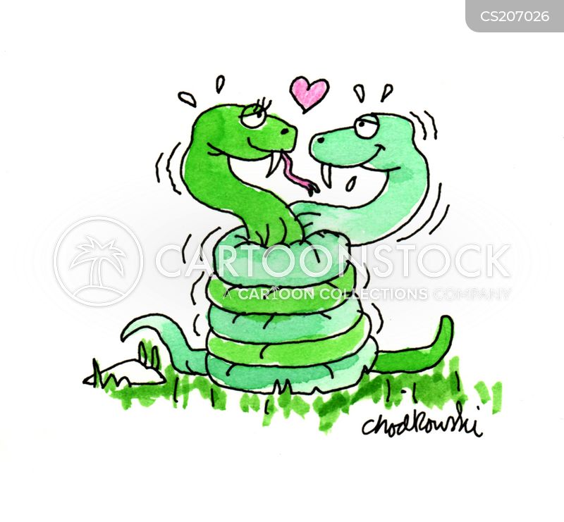 Cartoon of two snakes wrapped around each other. It’s true love signified by a heart between their heads as they stare intently at each other. One has its tongue hanging out.
