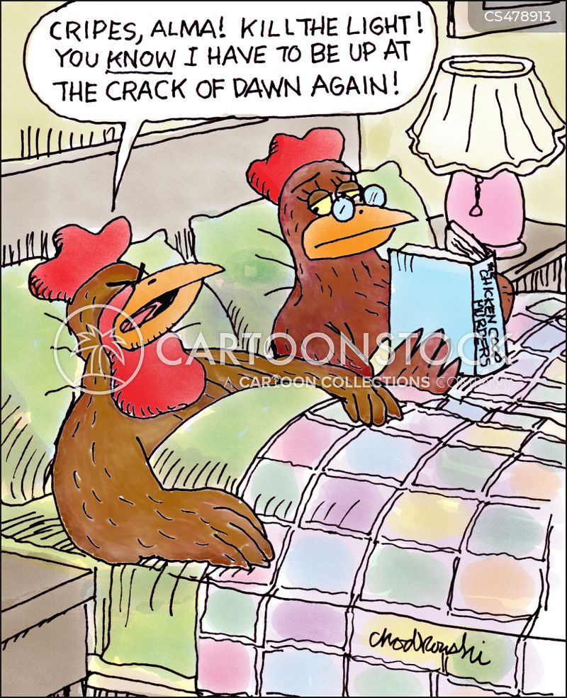 A rooster and chicken are in bed. She’s reading. He’s begging her to kill the light. She knows he has to get up at dawn.