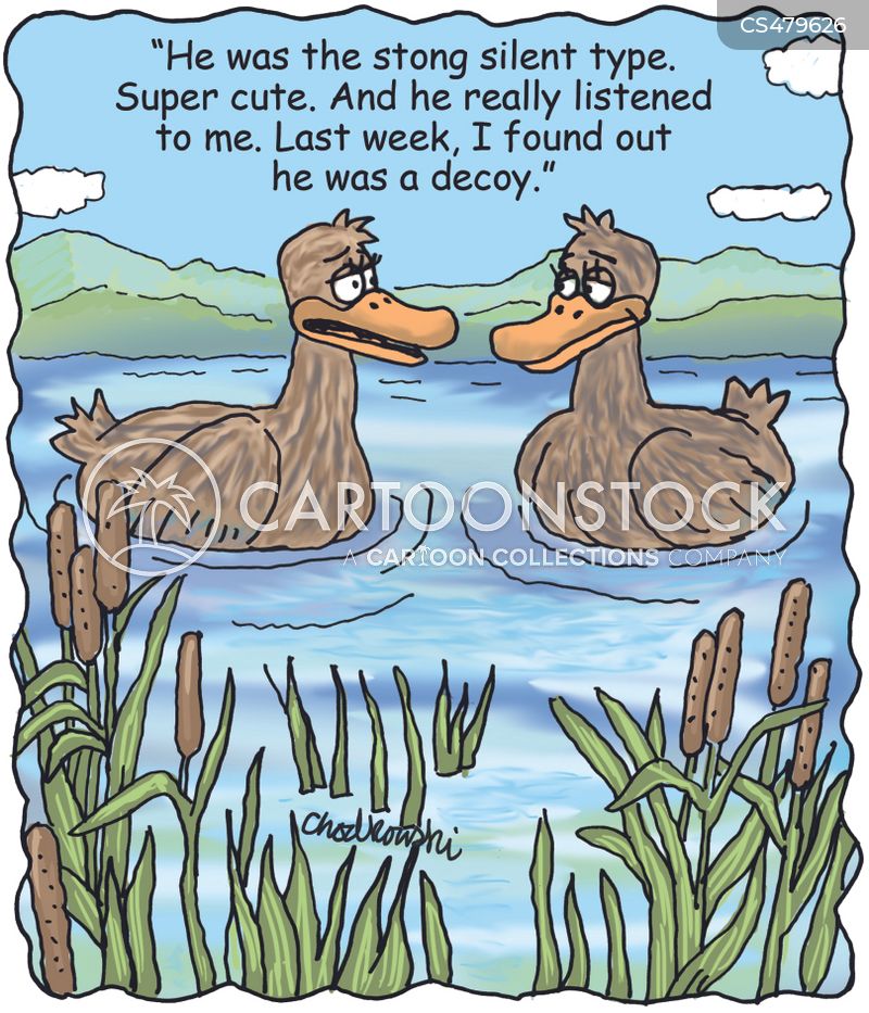 Two ducks in a pond. One explains, "He was the strong silent type. Super cute. And he really listened to me. Last week, I found out he was a decoy."