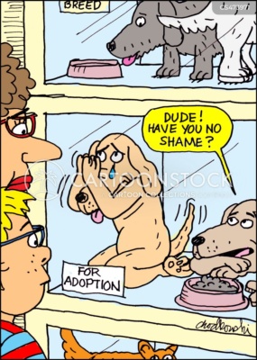 A mother and son are looking at dogs up for adoption. One dog is on his knees, begging to be picked. His cage mate is asking if he has no shame.