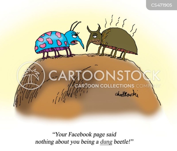 Cartoon of two beetles on top of a dung heap. One is blue with large pink dots. The other is brown and appears to smell. The blue one is complaining, "Your Facebook page said nothing about you being a DUNG beetle."