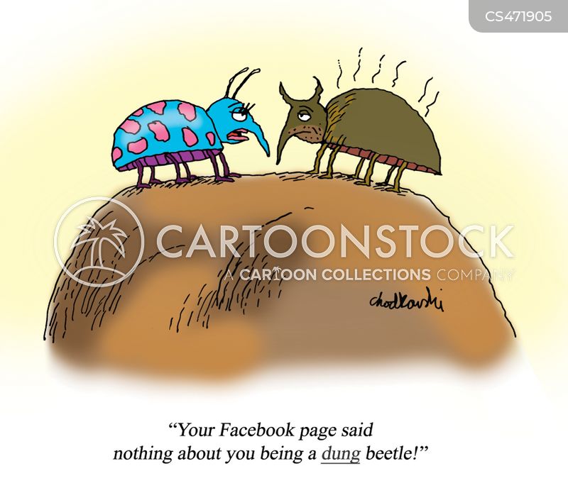 Cartoon of two beetles on top of a dung heap. One is blue with large pink dots. The other is brown and appears to smell. The blue one is complaining, "Your Facebook page said nothing about you being a DUNG beetle."