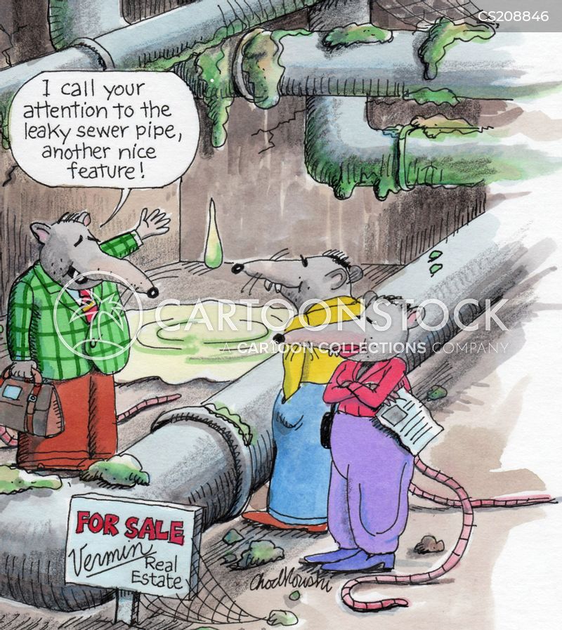 A rat agent from Vermin Real Estate is showing a space next to a leaky sewer pipe to a pair of rat clients. The agent is pointing out these flaws as nice features.