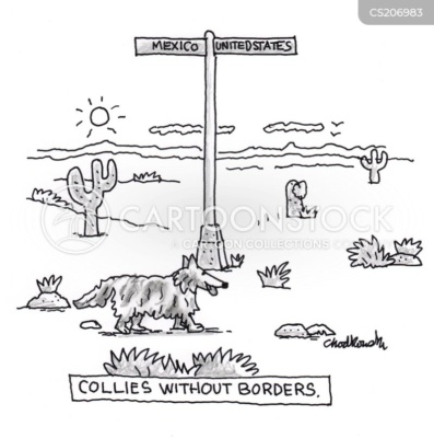 Black & white cartoon of collie walking across the desolate landscape to crossing the border from Mexico to the United States.