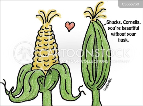 Corny sight joke. An ear of corn on a stalk. One ear is telling another, "Shucks, Cornelia, you're beautiful without your husk."