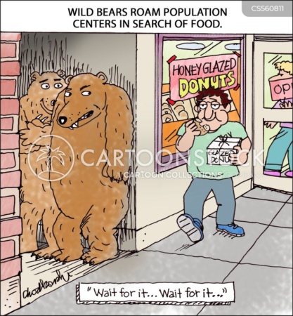 Cartoon. Two bears are hiding in an alcove near a donut store as they Roam the Population Centers In Search Of Food. A customer with a box of donuts is headed their way. The one bear is telling his partner, “Wait for it...Wait for it....”