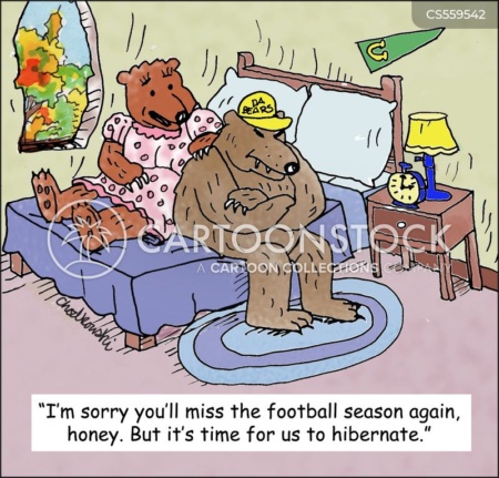 Cartoon. Mrs. Bear is in bed with Mr. Bear and is saying, "I'm sorry you'll miss the football season again, honey. But it's time for us to hibernate."