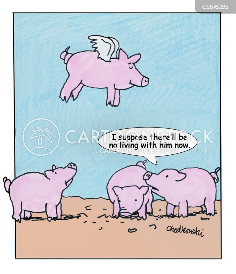 Cartoon. A pig has little wings and is flying. On the ground below are several pigs watching. One remarks, "I suppose there'll be no living with him now."