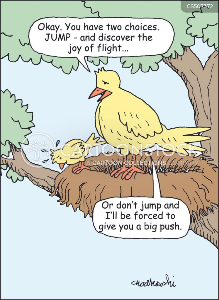 Cartoon of A young bird at the nest’s edge. It’s hesitating to take flight. It’s mother says there’s two choices, jump and discover the joy of flight or be pushed”