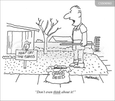 Cartoon of man getting ready to seed his lawn. There is a "keep off the grass" sign implanted in yard and a bird is standing on it, waiting for the seeds and the man is saying, "Don't even think about it."