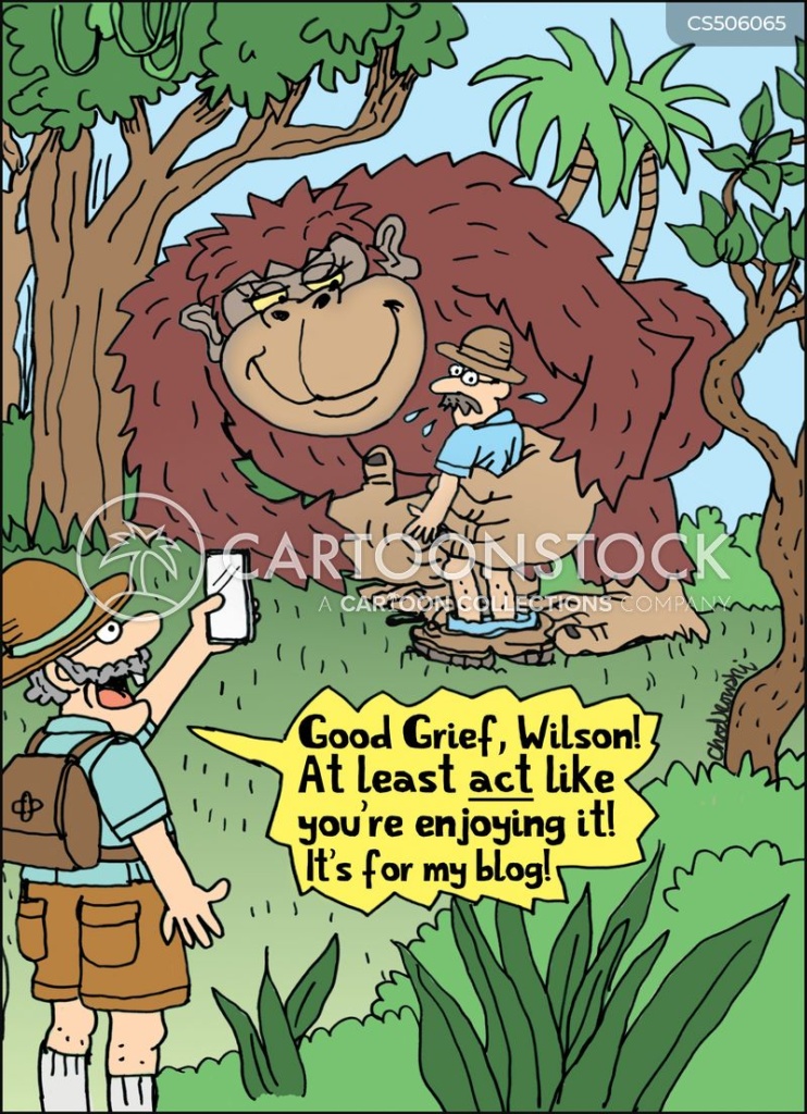 Cartoon. Two explorers in safari garb and pith helmets in the jungle. One is sweating while getting romantically accosted by a gorilla while the other is filming it on his cell phone and saying, “Good Grief, Wilson! At least act like you’re enjoying it. It’s for my blog!”.