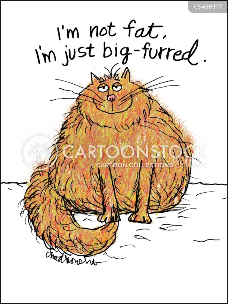 Cartoon of a sweet, fat orange cat with a happy grin saying he’s not fat just big-furred.