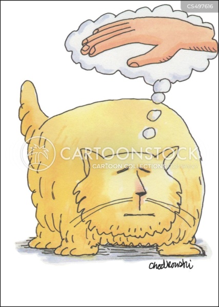 Cartoon of cat dreaming of getting petted.