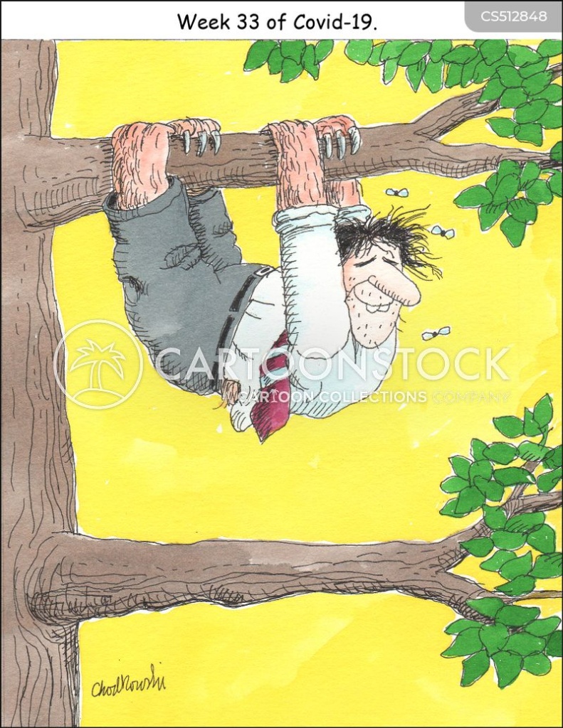 A disheveled man is turning into a sloth and is hanging-on to a tree limb as a metaphor for hanging-on in general. It’s captioned: “Week 33 of Covid-19.”