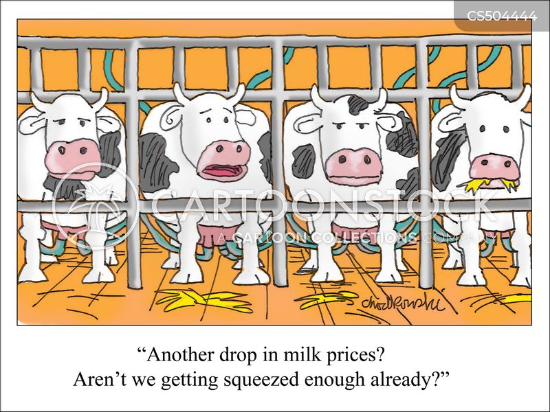 Cartoon. Row of four cows in separate stalls each hooked up to milking machine. One cow says, "Another drop in milk prices? Aren't we getting squeezed enough already?"