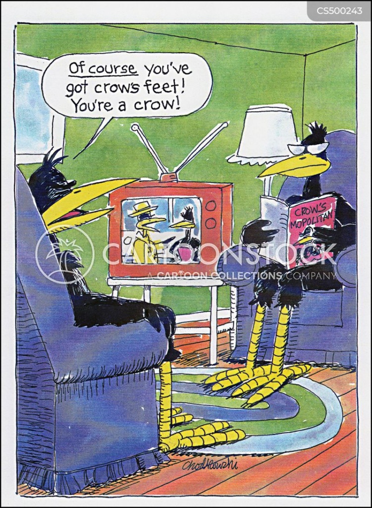 Cartoon. Two crows sitting in their living room. One is reading a book. The TV is on. One crow is telling the other, “Of course you've got crow's feet! You're a crow!"