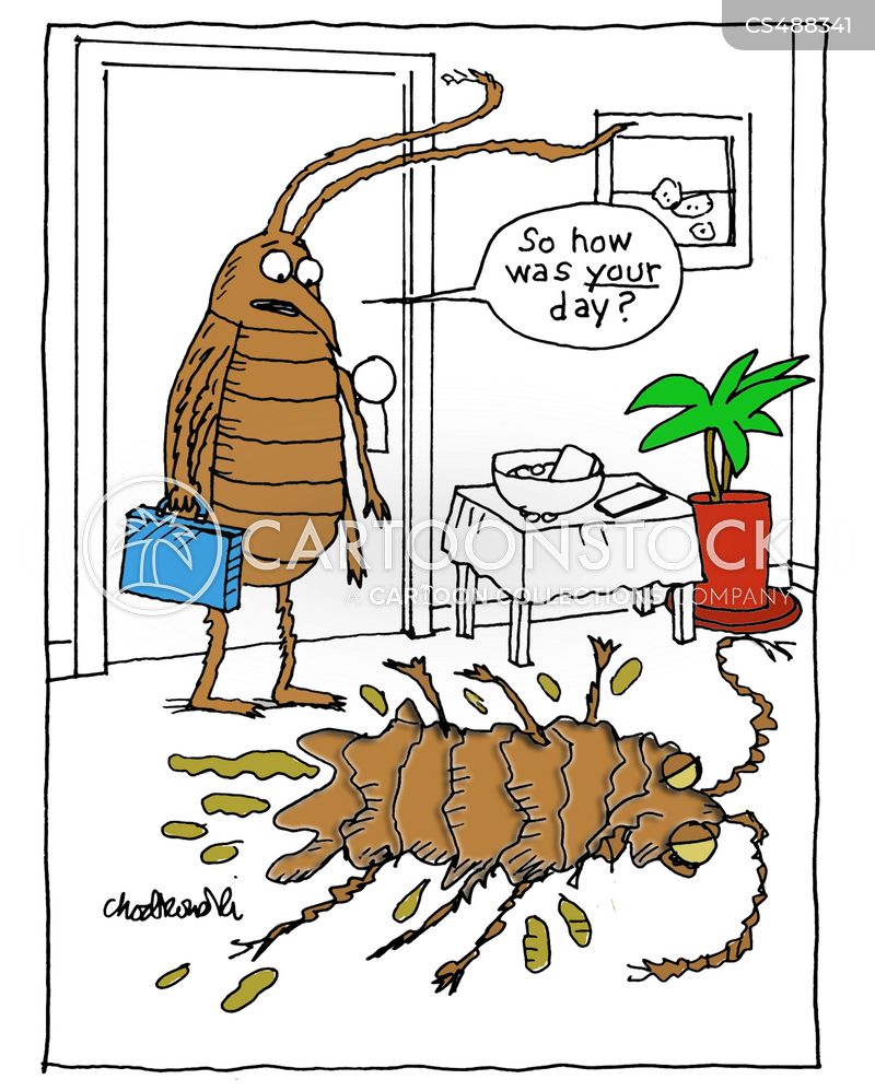 Cartoon of a bug arriving home after work, briefcase in hand. He automatically asks his partner how her day was. The partner is on the floor with some guts squished out and probably dead.