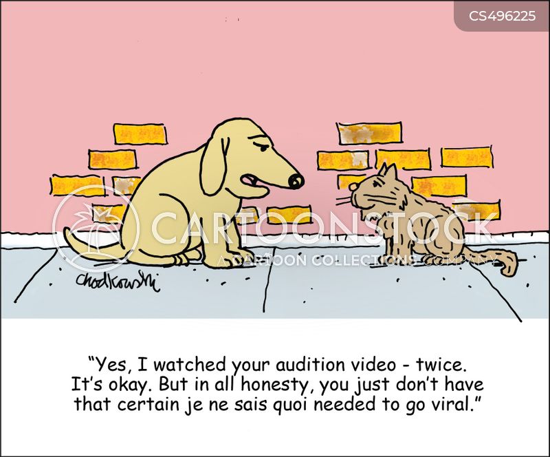 Cartoon of a dog and cat meeting along a sidewalk. The dog says "Yes, I watched your audition video - twice. It's okay. But in all honesty, you just don't have that certain je ne sais quoi needed to go viral."