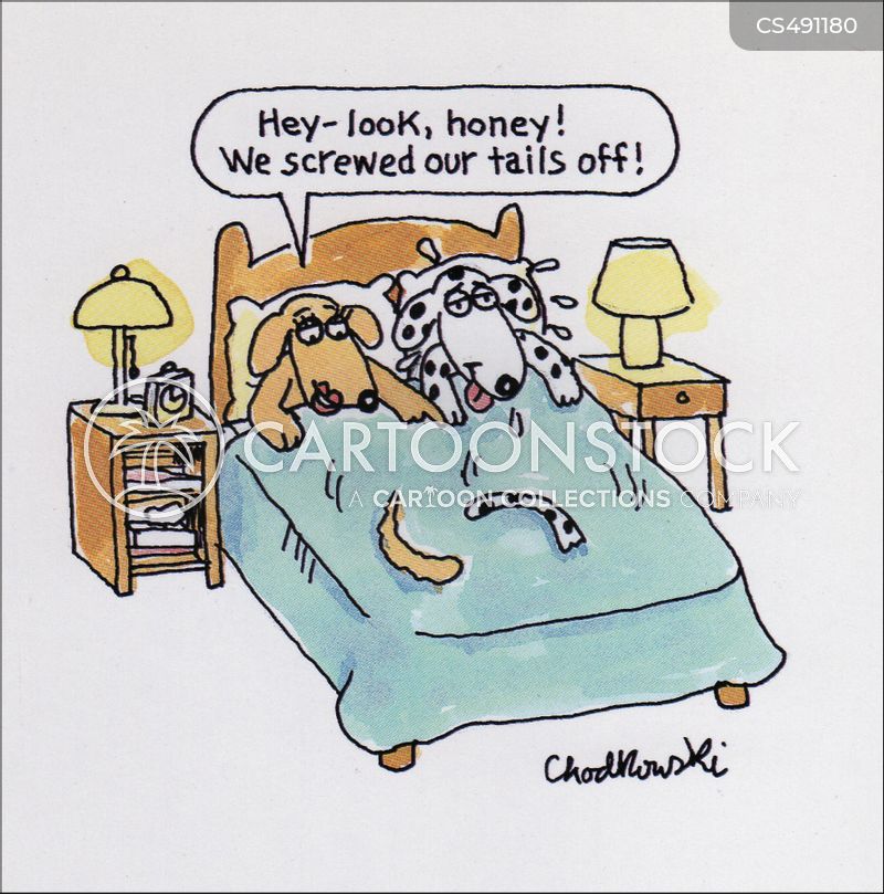 Two exhausted dogs are in bed. They realize they literally screwed their tails off. Their tails are laying on the blanket at the end of the bed.