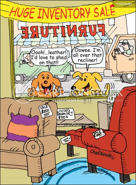 Cartoon of two dogs on the street drooling over the furniture they see through a furniture store showroom window. “Ooooh...leather! I’d love to shed on that!!” says one. “Ooowee! I’m all over that recliner!” says the other.