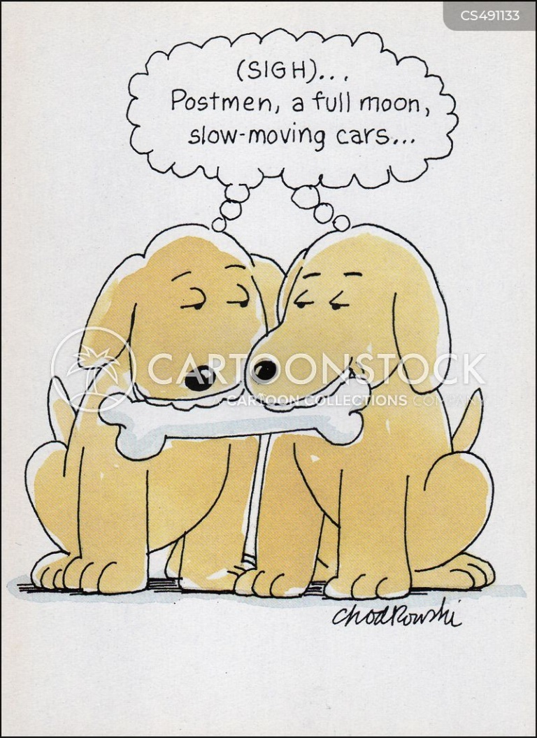 Two young dogs are  sharing a bone, holding it together in their mouths. They’re the same breed, sharing the same thoughts and feelings. They’re made for each other. It’s puppy love.
