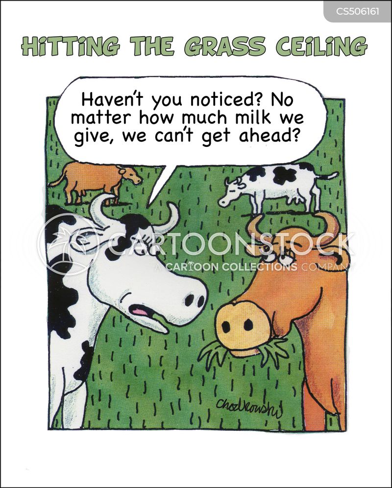 Cartoon of cows in a field. One is complaining to another, "Haven't you noticed? No matter how much milk we give, we can't get ahead?" The cartoon is caption, "Hitting the Grass Ceiling."