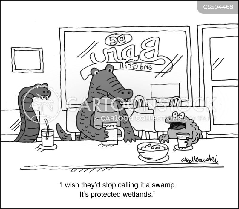 Cartoon. A frog, a crocodile and a snake in a bar. They’re at the counter having a drink. The frog is complaining, “I wish they’d stop calling it a swamp. It’s a protected wetlands.”